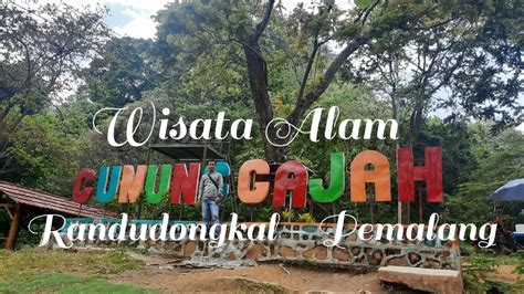 Wisata Randudongkal, Keindahan Alam yang Menakjubkan di Purbalingga!
